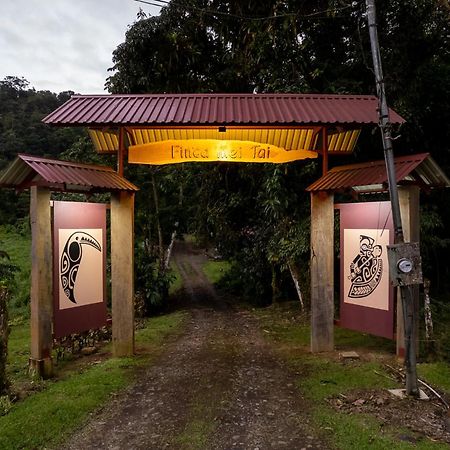 Finca Mei Tai B&B&Cacao Farm Bijagua Ngoại thất bức ảnh