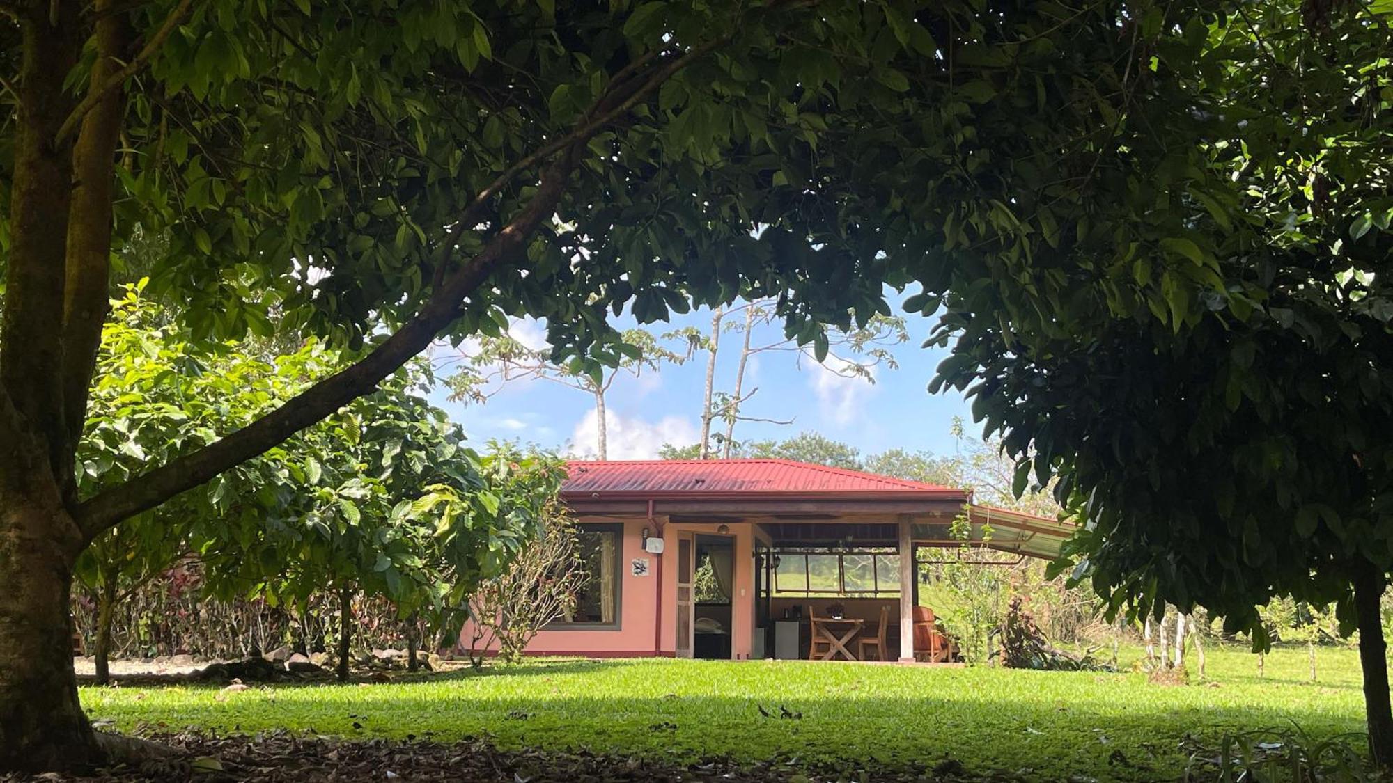 Finca Mei Tai B&B&Cacao Farm Bijagua Ngoại thất bức ảnh