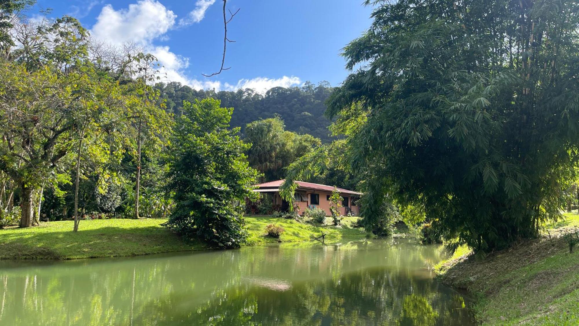Finca Mei Tai B&B&Cacao Farm Bijagua Ngoại thất bức ảnh