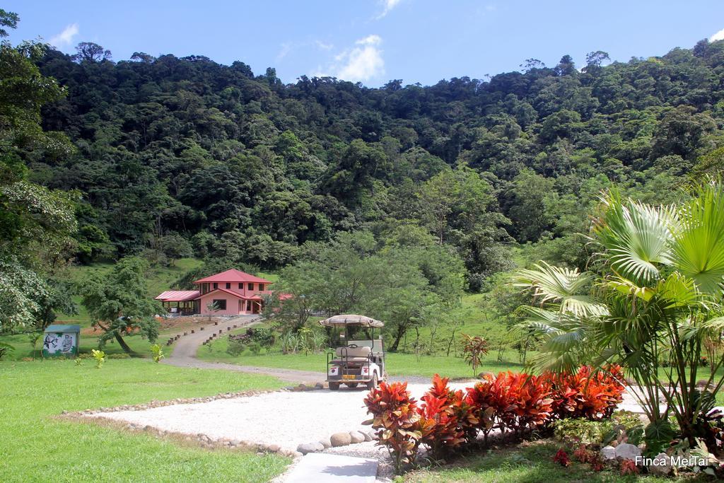 Finca Mei Tai B&B&Cacao Farm Bijagua Ngoại thất bức ảnh