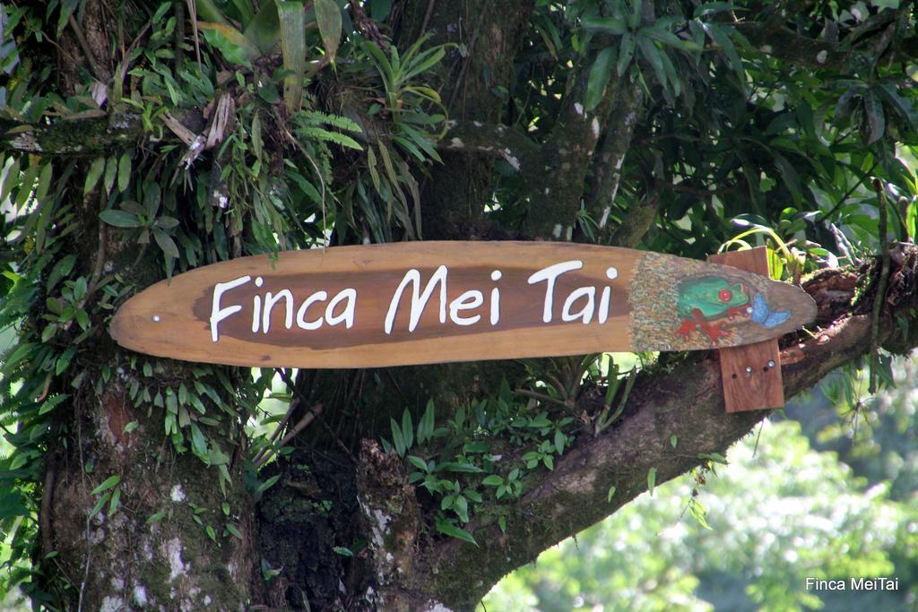 Finca Mei Tai B&B&Cacao Farm Bijagua Ngoại thất bức ảnh