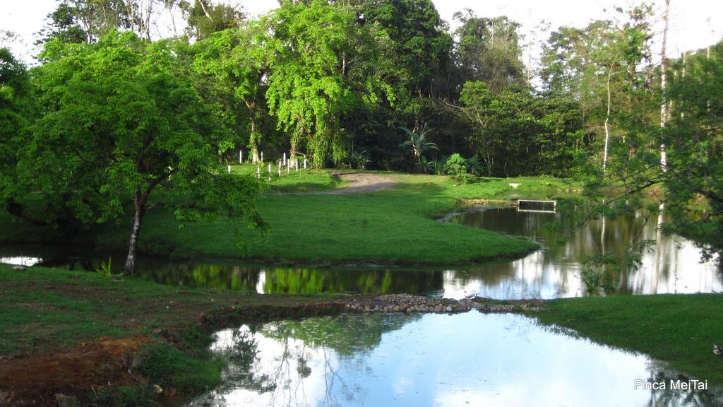 Finca Mei Tai B&B&Cacao Farm Bijagua Ngoại thất bức ảnh