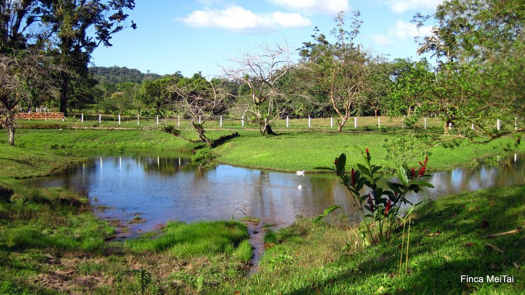 Finca Mei Tai B&B&Cacao Farm Bijagua Ngoại thất bức ảnh