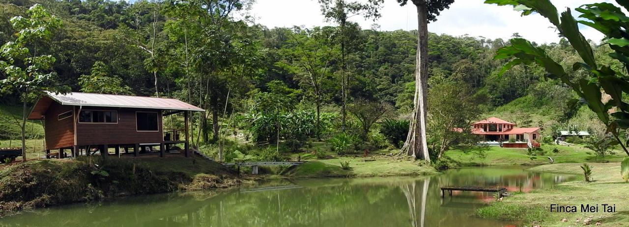 Finca Mei Tai B&B&Cacao Farm Bijagua Ngoại thất bức ảnh