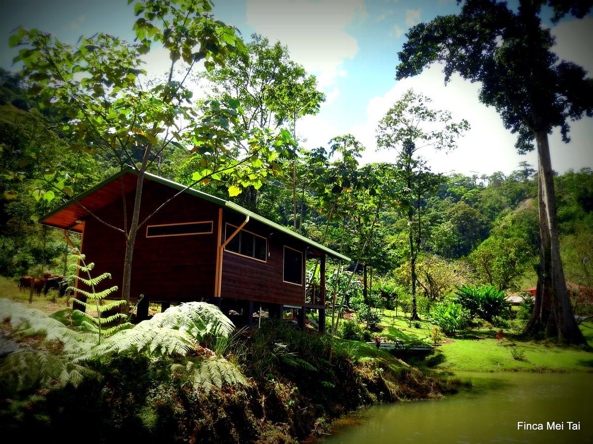Finca Mei Tai B&B&Cacao Farm Bijagua Ngoại thất bức ảnh