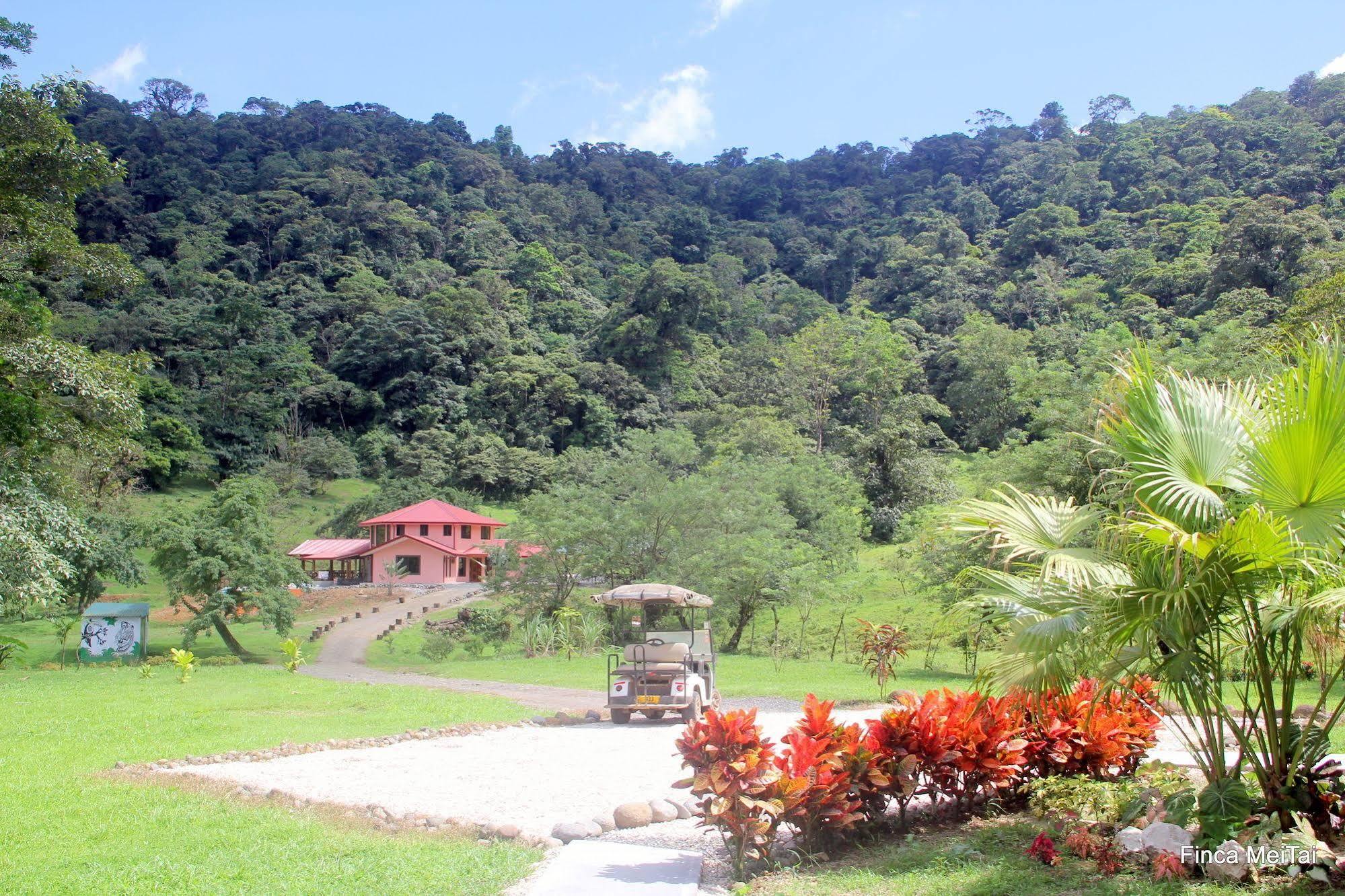 Finca Mei Tai B&B&Cacao Farm Bijagua Ngoại thất bức ảnh