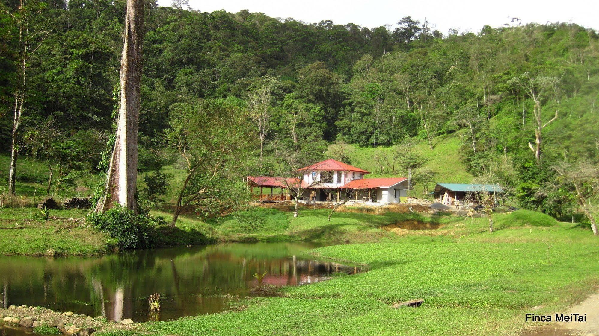 Finca Mei Tai B&B&Cacao Farm Bijagua Ngoại thất bức ảnh