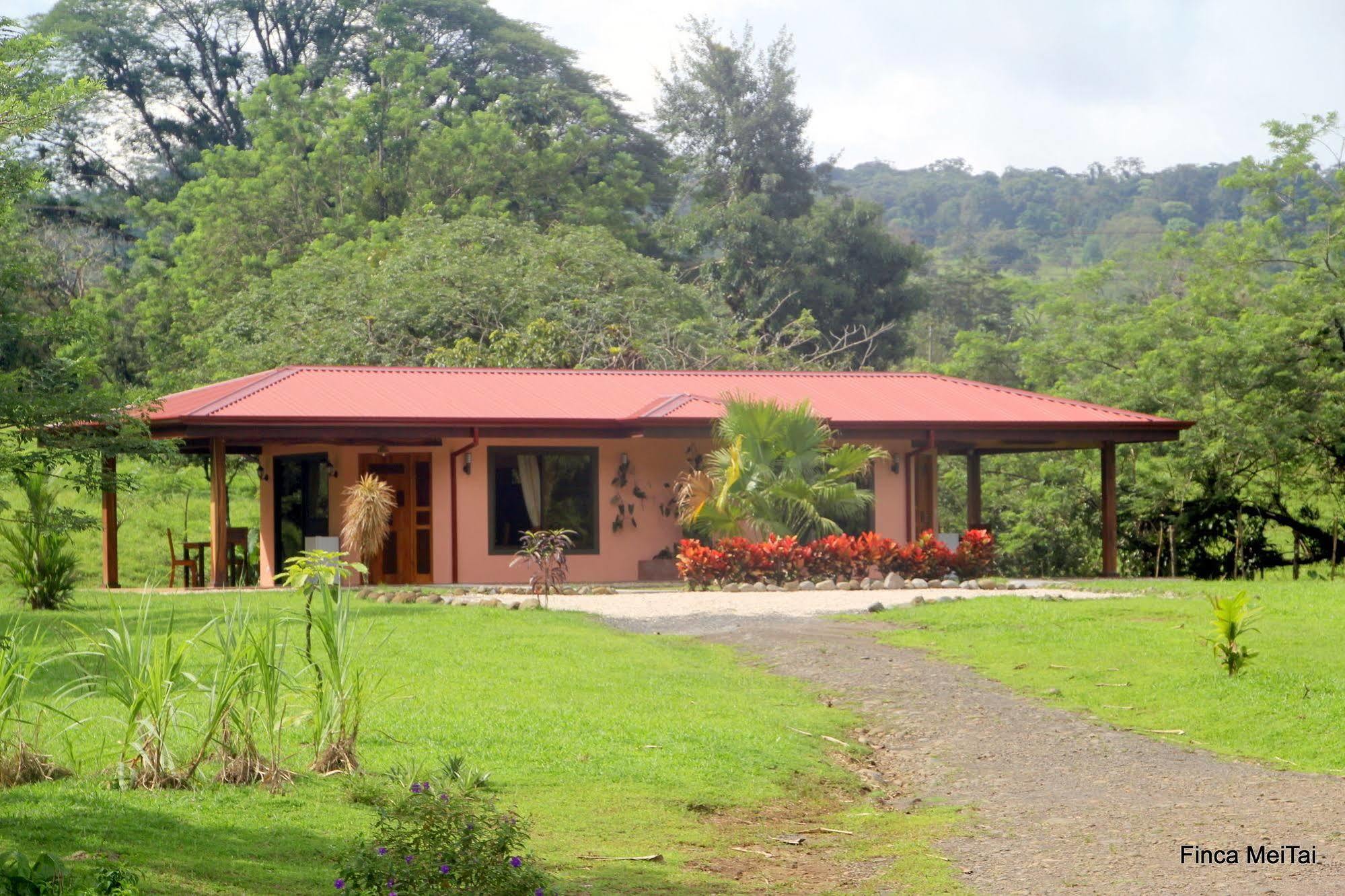 Finca Mei Tai B&B&Cacao Farm Bijagua Ngoại thất bức ảnh