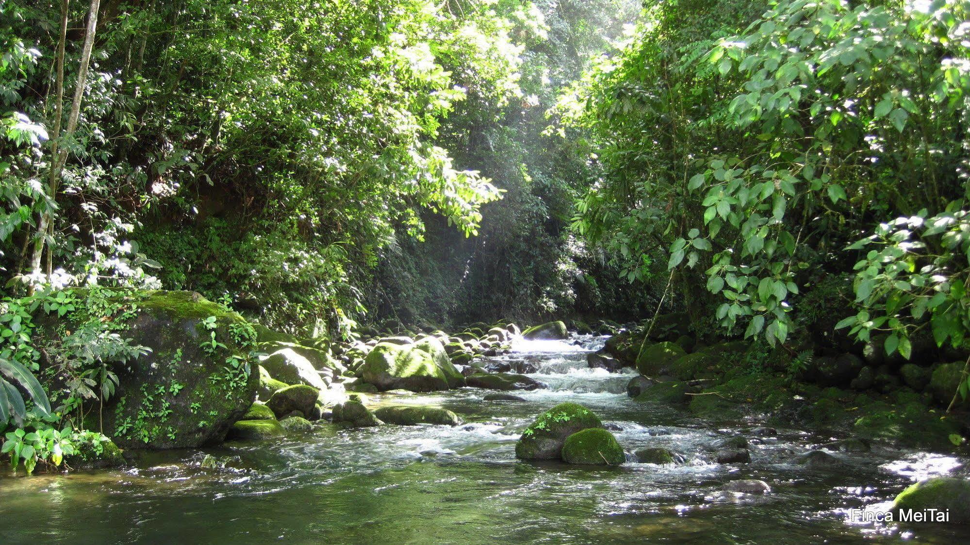 Finca Mei Tai B&B&Cacao Farm Bijagua Ngoại thất bức ảnh