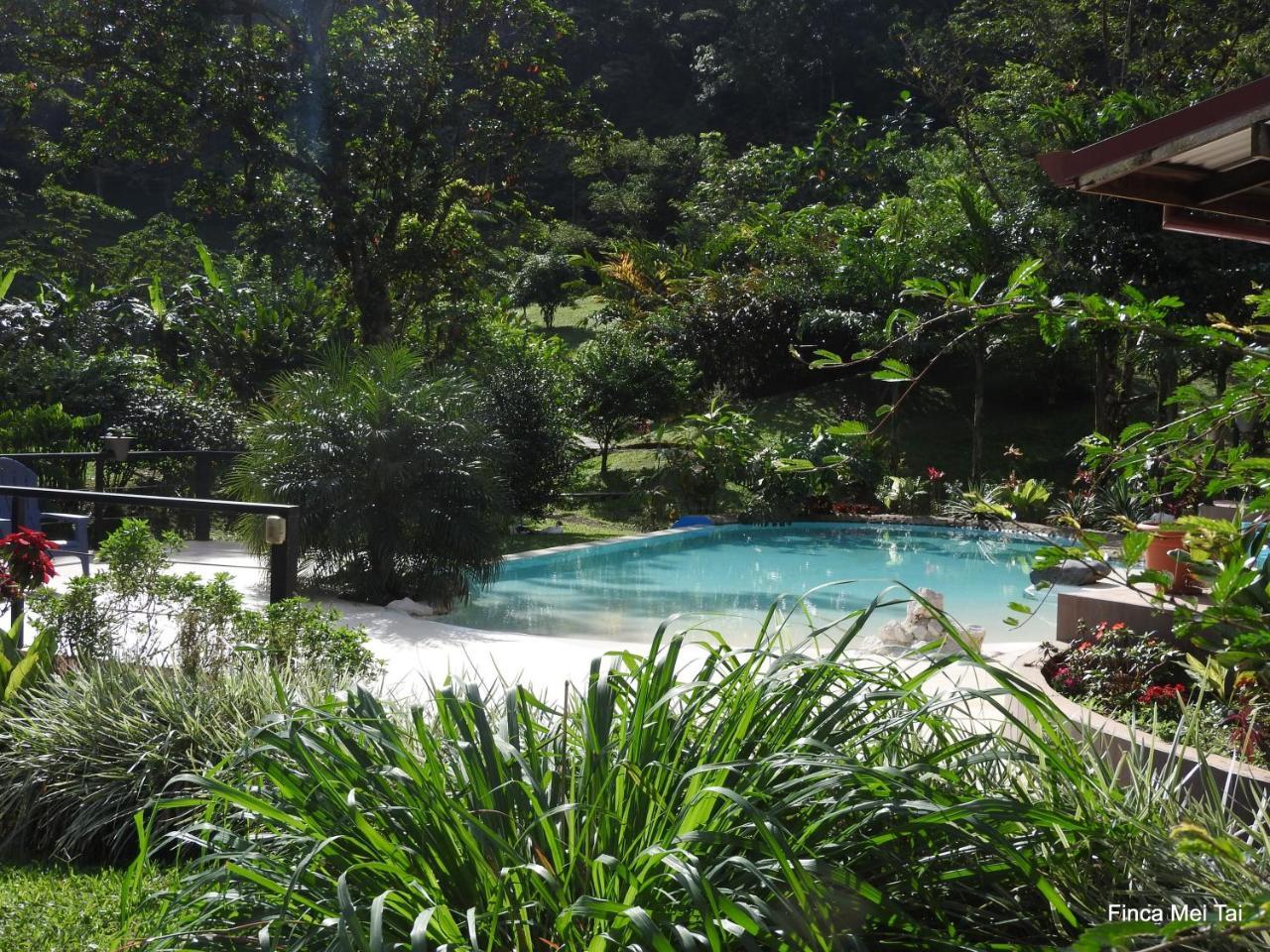 Finca Mei Tai B&B&Cacao Farm Bijagua Ngoại thất bức ảnh