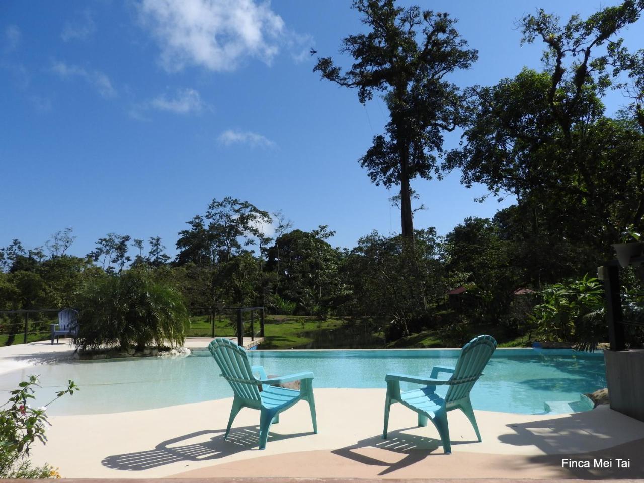 Finca Mei Tai B&B&Cacao Farm Bijagua Ngoại thất bức ảnh
