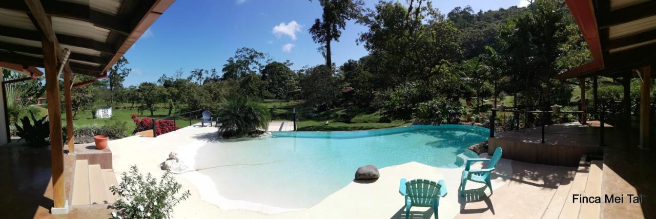 Finca Mei Tai B&B&Cacao Farm Bijagua Ngoại thất bức ảnh